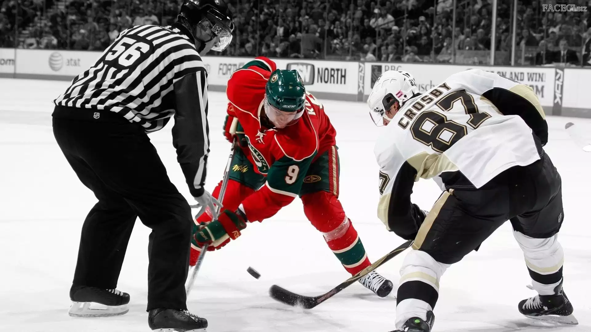 Hokej, Penguis, Sidney Crosby, Pittsburgh